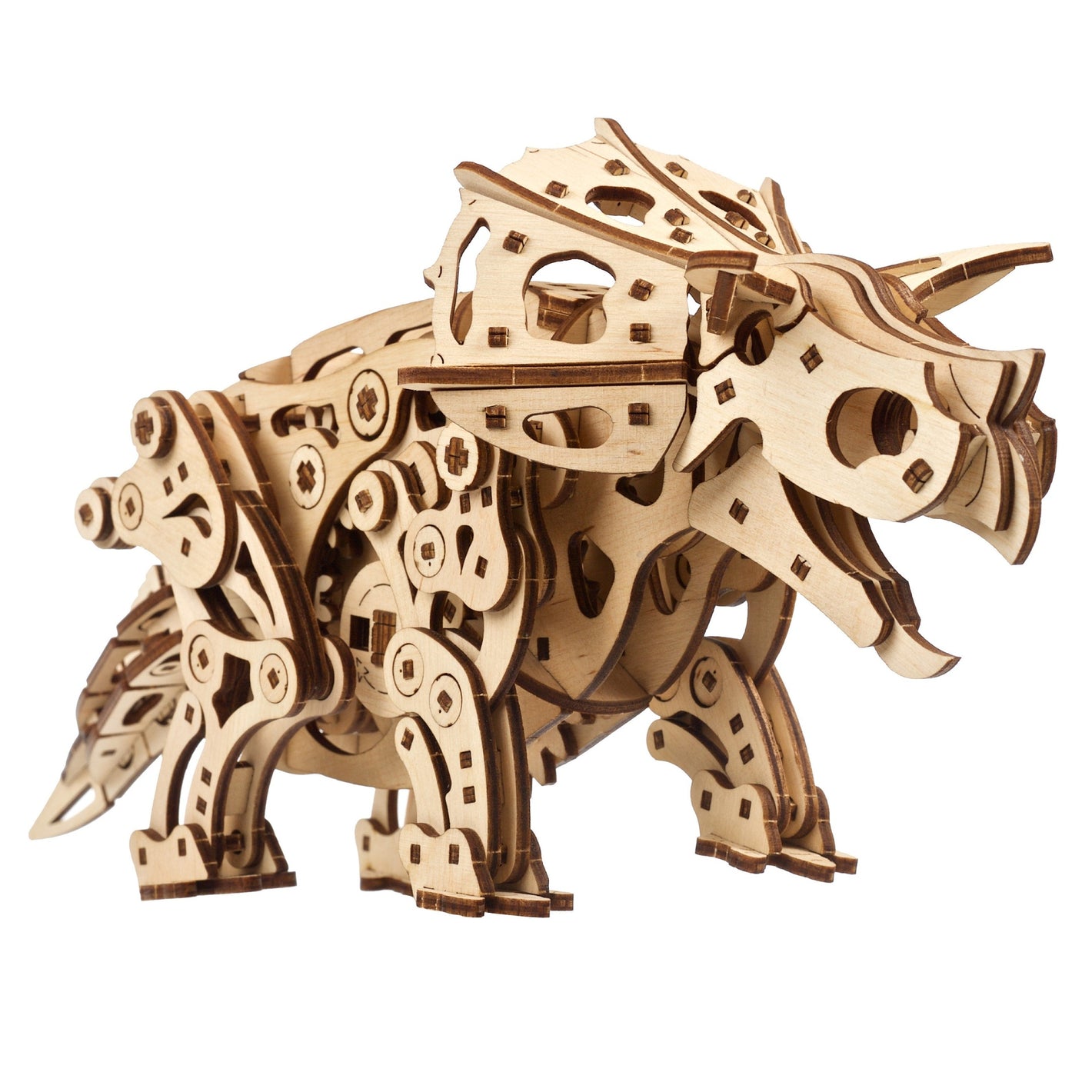 Triceratops