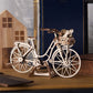 Bicicleta Holandesa