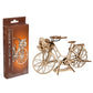 Bicicleta Holandesa