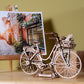Bicicleta Holandesa