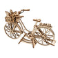 Bicicleta Holandesa