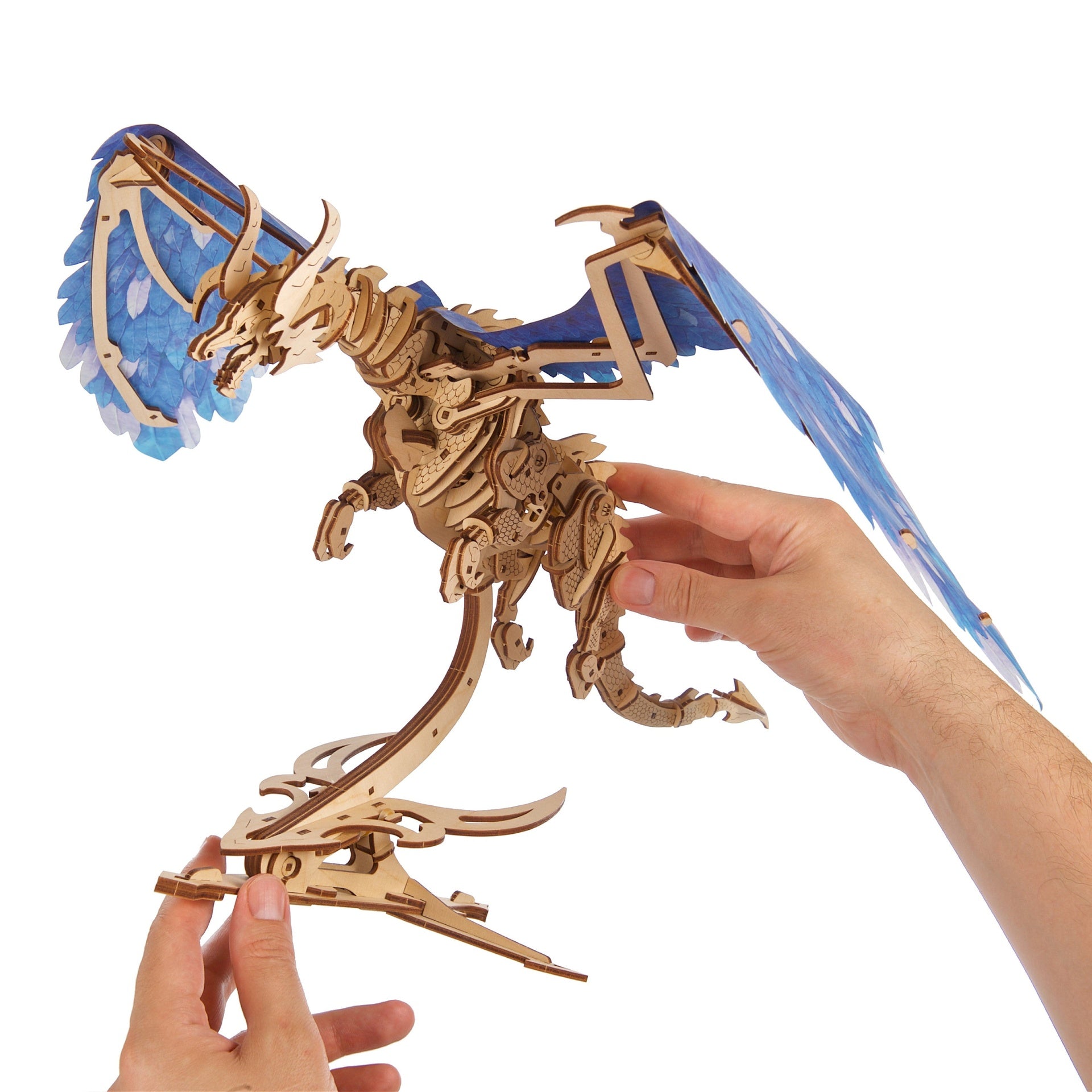 Windstorm Dragon