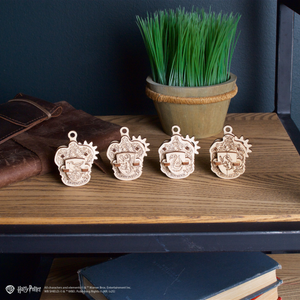 Hogwarts™ Houses Fidgets