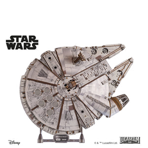 Millennium Falcon™