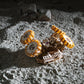 Mondrover der NASA