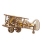 Mini-Biplane
