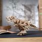 Tyrannosaure rex
