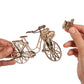 Bicicleta Holandesa