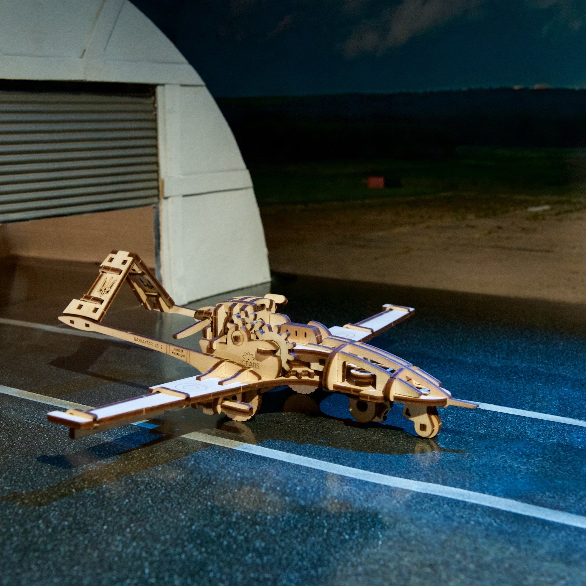 Bayraktar TB2 combat drone