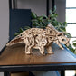 Triceratops